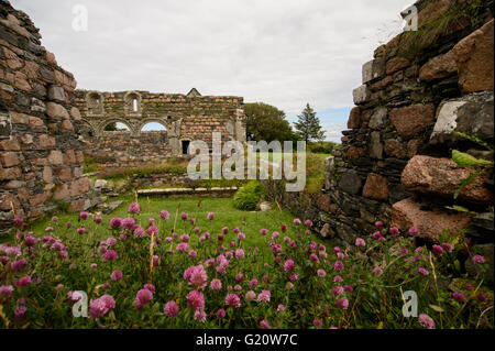 Blumen auf den Resten des historischen Klosters auf Isle of Iona, Schottland. Stockfoto