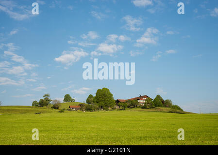 Bauernhäuser auf einer Anhöhe in Oberbayern, umgeben von blühenden Wiesen an einem sonnigen Frühlingsmorgen im Frühjahr, Bayern, Deutschland Stockfoto