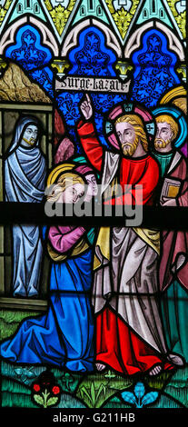 LIER, Belgien - 16. Mai 2015: Glasfenster (1886) in St. Gummarus Kirche in Lier, Belgien, Darstellung der Anhebung von Lazar Stockfoto