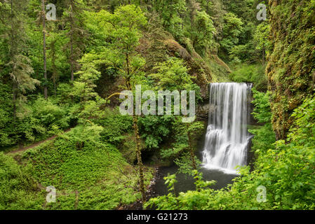 Lower South Falls und zehn Falls Trail, Silver Falls State Park, Oregon. Stockfoto