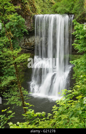 Lower South Falls, Silver Falls State Park, Oregon. Stockfoto