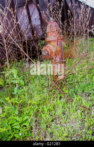 Vintage Hydranten und Kohlenwagen auf überwachsenen Schienen rosten. Stockfoto