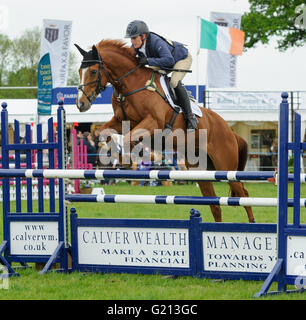 Rockingham Castle, Northamptonshire, UK. 21. Mai 2016. Zara Tindall - Rockingham Castle International Horse Trials, Samstag, 21. Mai 2016 Credit: Nico Morgan/Alamy Live-Nachrichten Stockfoto