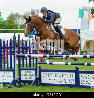 Rockingham Castle, Northamptonshire, UK. 21. Mai 2016. Zara Tindall - Rockingham Castle International Horse Trials, Samstag, 21. Mai 2016 Credit: Nico Morgan/Alamy Live-Nachrichten Stockfoto