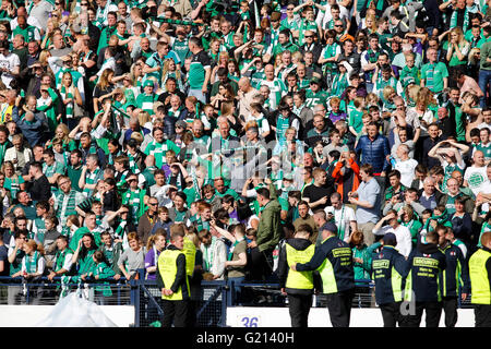 Hamden Park, Glasgow, Schottland. 21. Mai 2016. Schottische Pokalfinale. Rangers gegen Hibernian Edinburgh. Die Hibs Fans feiern Credit: Action Plus Sport/Alamy Live News Stockfoto