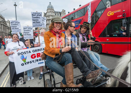 London, UK. 21. Mai 2016. Vier Pferde kam zu Parliament Square für den Protest, aber wurde gesagt, durch Erbe Wächter und Polizei, die es war war gegen Geschäftsordnungen für sie auf dem Platz sein. Sie führte den Protest in wiederholten Schaltungen der Fahrbahn rund um den Platz vor der Abreise als die Rallye auf dem Platz begann. Sie sagen "Dosta, Grinta, genug!" zu Änderungen der Zigeuner und Traveller Planung Beratung und andere Maßnahmen der Regierung, die sind ein Angriff auf ihrer ethnischen Zugehörigkeit und Lebensart und fordern ein Ende der 500 Jahre der Verfolgung. Peter Marshall/Alamy Live-Nachrichten Stockfoto