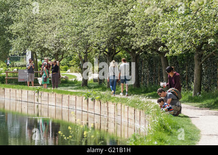 Menschen genießen sonniges Wetter in Woodberry Feuchtgebiete Natur reserve, London England Vereinigtes Königreich UK Stockfoto