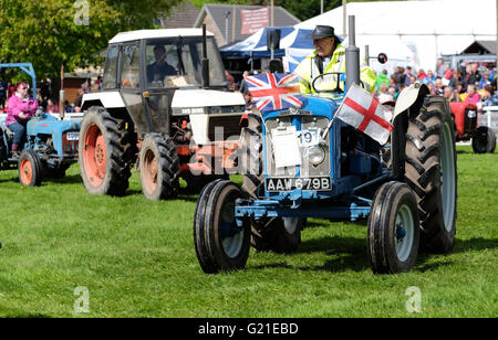 Royal Welsh Frühlingsfest, Mai 2016 - das Erscheinen kennzeichnete eine Parade von Oldtimern und Oldtimer-Traktoren - hier ist ein Fordson Super Major in Dagenham UK von 1961 bis 1964 produziert. Stockfoto