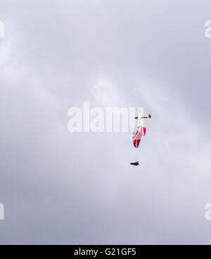 Piloten fliegen Gleitschirm an Parlick Pike, Ribble Valley, Lancashire, England Stockfoto