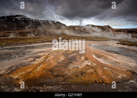 Heiße Quellen, Hochtemperaturbereich im Tal Haukadalur, mineralische Ablagerungen, Touristenattraktionen, Golden Circle Route Stockfoto