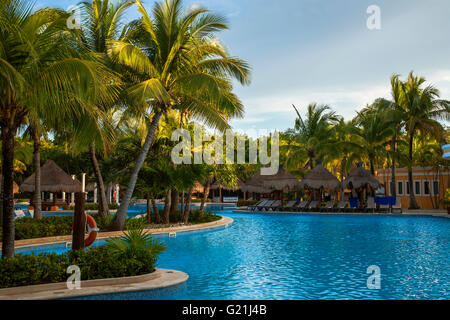 Palmen, Schwimmbad, Liegestühle, Palm Sonnenschirme, Iberostar Paraiso Beach Resort, Playa del Carmen Quintana Roo Stockfoto