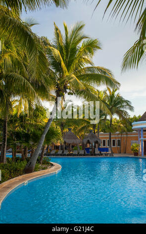 Palmen, Schwimmbad, Liegestühle, Palm Sonnenschirme, Iberostar Paraiso Beach Resort, Playa del Carmen Quintana Roo Stockfoto