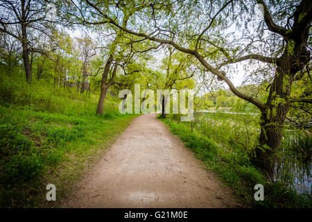 Wanderweg im High Park in Toronto, Ontario. Stockfoto