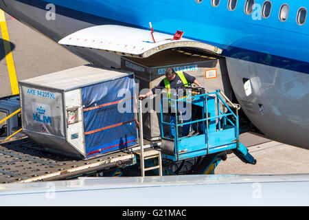 Amsterdam Schiphol, Flughafen, Flugzeuge am Tore, Terminalgebäude, laden Fracht Stockfoto