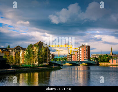 Der Fluss Lagan fließt in Richtung Belfast City Centre, unterhalb der Albertbridge und vorbei an Harland und Wolff Krane. Stockfoto