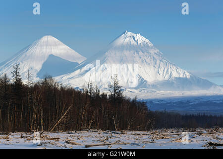 Blick auf Klyuchevskoy Volcano - der höchste aktive Vulkan in Eurasien und Kamen Vulkan bei Sonnenuntergang. Russischen Fernen Osten, Kamtschatka Stockfoto