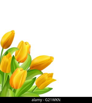 Natürliche Bouquet mit gelben Tulpen Blumen isoliert Stock Vektor