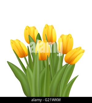 Schöner Blumenstrauß mit gelben Tulpen Blumen Stock Vektor