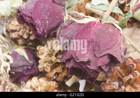 getrocknete Rose und Pone Kegel Stockfoto