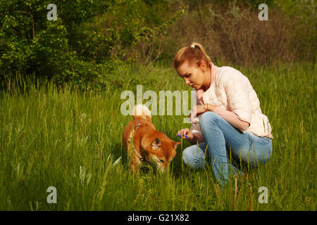 Shiba Inu Hund und eine Frau zu Fuß auf einer grünen Wiese Frühling. Wandern mit einem Haustier. Rassehund. Hunden spazieren. Stockfoto