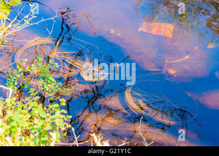 Ein altes Fahrrad unter Wasser in den Fluss. Stockfoto