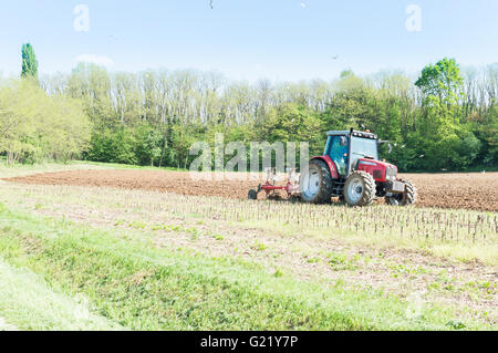 Landwirtschaftliche Arbeiten. Kleine Landwirtschaft mit Traktor und Pflug im Feld Stockfoto