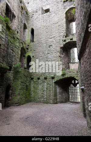 Ludlow Castle, Ludlow, Shropshire, England, Großbritannien Stockfoto