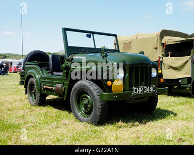 Britische Armee Austin "Champ" offiziell bekannt als "LKW, 1/4 Ton, CT, 4 × 4, Cargo & FFW, Austin Mk 1' von der 50er Jahre & 1960. Stockfoto