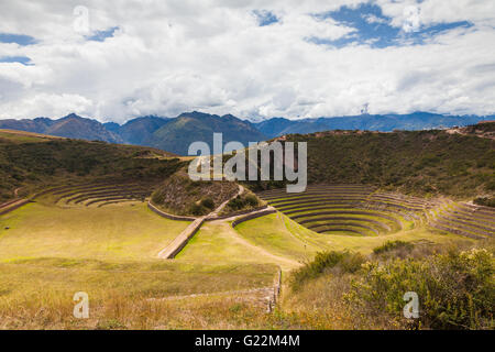 Inka landwirtschaftlichen Terrassen in Moray, Peru Stockfoto