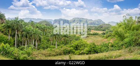 Panorama von Vinales Tal, Kuba Stockfoto