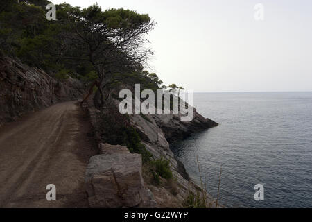 ein schönes Bild von einem Trail mit Vegetation neben dem ruhigen Meer in Palma De Mallorca, Spanien, am Meer, Tourismus, Urlaub Stockfoto