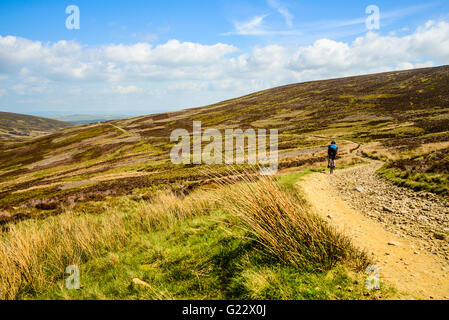 Radfahrer auf dem richtigen Weg in der Bowland Fells Lancashire verschieden bekannt als Salter Weg fiel Salter Road oder Hornby Road Stockfoto