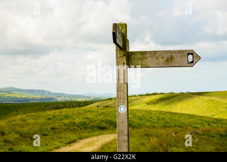 Schilder an der Pennine Maultierweg National Trail auf Hameldon Moor in der Lancashire Pennines Stockfoto