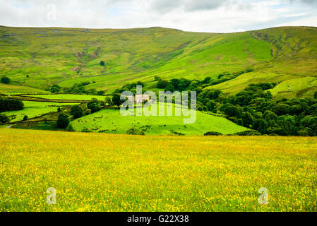 Abgelegenen Bauernhof am Mallowdale im Wald von Bowland Lancashire England Stockfoto