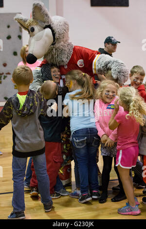 Joplin, Missouri, USA. 20. Mai 2016. Die Joplin Familie YMCA Fit Kids Armee umgeben KC Wolf mit Umarmungen. KC Wolf unterhält die Kinder während ihrer Aufwärmübungen, zeigt ihnen wo Sie für jede Umdrehung und verbindet ihre Workout-Übungen und das Endspiel der '' Shark'' Team Tag. Übung, Interaktivität, Unterricht und Spiel sind alle in einem einstündigen spielen 60 Klinik Programm begleitet von KC Wolf Maskottchen und die Chiefs Community-Pflege-Team kombiniert. © Serena S.Y Hsu/ZUMA Draht/Alamy Live-Nachrichten Stockfoto