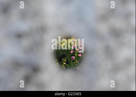 London, UK. 23. Mai 2016. Ein Blick in das Innere der Marmor und Granit Zentrum – Antithese der Sarkophage Garten durch eines der Löcher des Auges.  Der Garten ist eines der Feature-Gärten auf dem Display an der 2016 RHS Chelsea Flower Show eröffnet heute, London, UK.  Die eigentlich Garten ist vollständig ummauerte und nicht sichtbar oder von außen zugänglich und ist (in den Worten der Designer Martin Cook und Gary Breeze) "eine Darstellung einer Welt umgekrempelt; ein Garten in eine Skulptur; Verwüstung und Natur ". Bildnachweis: Michael Preston/Alamy Live-Nachrichten Stockfoto