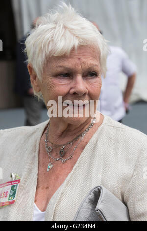 London, UK. 23. Mai 2016. Dame Judi Dench. Pressetag bei der RHS Chelsea Flower Show. 2016-Show ist für die Öffentlichkeit vom 24.-28. Mai 2016. Bildnachweis: Lebendige Bilder/Alamy Live-Nachrichten Stockfoto