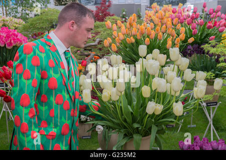 London, UK. 23. Mai 2016. Arbeiten auf die Bloms Glühbirnen Tulpe Stand in speziellen Anzügen, entworfen von Wacky passt - Tag der Eröffnung der Chelsea Flower Show. Bildnachweis: Guy Bell/Alamy Live-Nachrichten Stockfoto