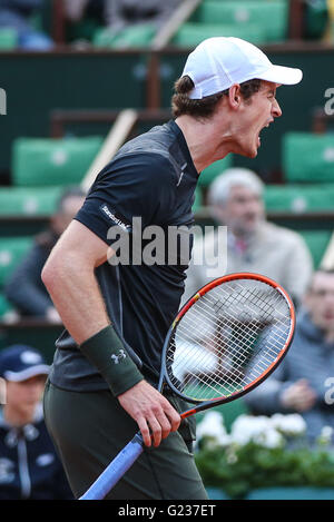 PARIS, Frankreich - 22.05.2016: ROLAND GARROS 2016 - Großbritannien & #39ndy Murraurray während der offenen Tennis Frankreich im Jahr 2016 in Stade Roland Garros statt. (Foto: Andre Chaco / FotoArena) Stockfoto