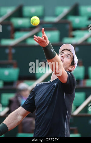 PARIS, Frankreich - 22.05.2016: ROLAND GARROS 2016 - Großbritannien & #39ndy Murraurray während der offenen Tennis Frankreich im Jahr 2016 in Stade Roland Garros statt. (Foto: Andre Chaco / FotoArena) Stockfoto