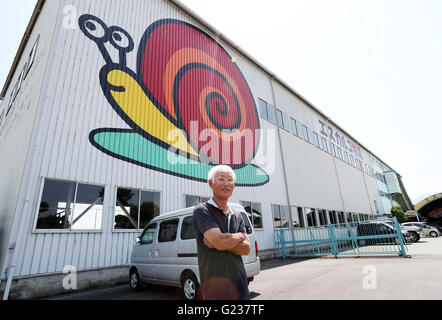 Matsusaka, Japan. 23. Mai 2016. Toshihide Takase, eines japanischen Fabrikanten zeigt Burgandy Schnecken, was bezeichnet man als bedrohte Art in Frankreich bei seinem Anbau fam 'Escargot Farm"in Matsusaka in der Präfektur Mie, Zentraljapan auf Montag, 23. Mai 2016. Takase Suceeded höchster Qualität Escargot de Bourgogne (Helix Pomatia Art) im Jahr 1995 und jetzt 200.000 seltene Schnecken zu kultivieren und Servierplatten der hausgemachten "Escargot à la Bourguignonne" zu züchten (Schnecken in Knoblauchbutter) Besuchern auf seiner Farm. © Yoshio Tsunoda/AFLO/Alamy Live-Nachrichten Stockfoto