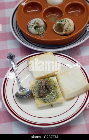 Matsusaka, Japan. 23. Mai 2016. Toshihide Takase, eines japanischen Fabrikanten zeigt Burgandy Schnecken, was bezeichnet man als bedrohte Art in Frankreich bei seinem Anbau fam 'Escargot Farm"in Matsusaka in der Präfektur Mie, Zentraljapan auf Montag, 23. Mai 2016. Takase Suceeded höchster Qualität Escargot de Bourgogne (Helix Pomatia Art) im Jahr 1995 und jetzt 200.000 seltene Schnecken zu kultivieren und Servierplatten der hausgemachten "Escargot à la Bourguignonne" zu züchten (Schnecken in Knoblauchbutter) Besuchern auf seiner Farm. © Yoshio Tsunoda/AFLO/Alamy Live-Nachrichten Stockfoto