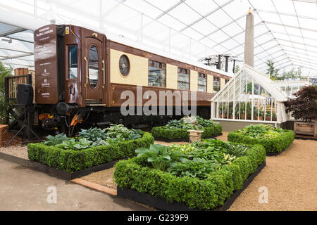 London, Großbritannien. 23 Mai 2016. Wagen des Orient Express im Großen Pavillon. Pressetag auf der RHS Chelsea Flower Show. Die Ausstellung 2016 ist ab dem 24-28. Mai 2016 für die Öffentlichkeit zugänglich. Kredit: Lebendige Bilder/Alamy Live News Stockfoto