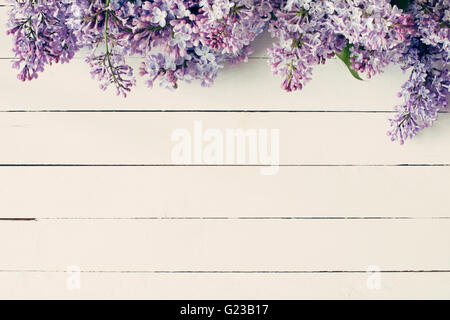 Lila Blüten auf Vintage Holz-Hintergrund. Ansicht von oben, Textfreiraum Stockfoto