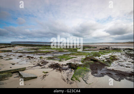 Der Strand von Dunnet Bay in Thurso, Caithness Schottland, Vereinigtes Königreich Stockfoto