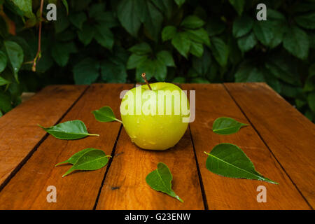 gelber Apfel und Wassertropfen vor dem Hintergrund der grünen Stockfoto