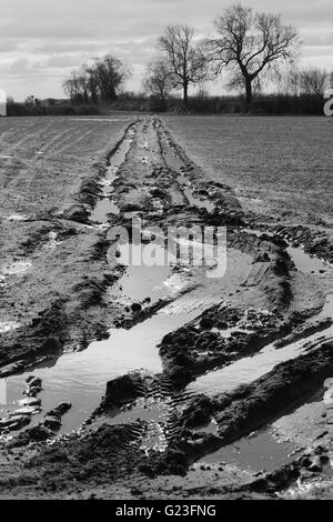 Landwirtschaft, Eingang schlammiges Feuchtgebiet, ländliche Landleben, wellington Stiefel, Gummistiefel, Schlamm herrlich, Landwirte, Traktor, Gefahr, Versicherungsansprüche, Straftat. Stockfoto