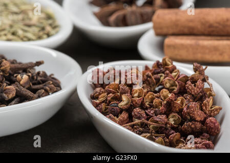 Szechuan-Pfefferkörner in weißen Löffel mit chinesischen fünf-Gewürze im Hintergrund Stockfoto