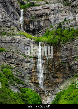 Bridal Veil Falls in Provo Canyon, umgeben von grünen Pflanzenwelt. Stockfoto