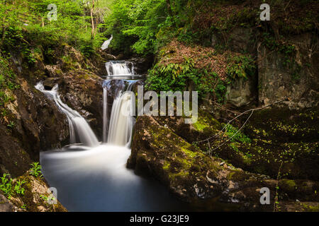 Pecca Wasserfälle - eine der atemberaubenden Wasserfälle Wasserfälle unterwegs Ingleton in North Yorkshire. Stockfoto